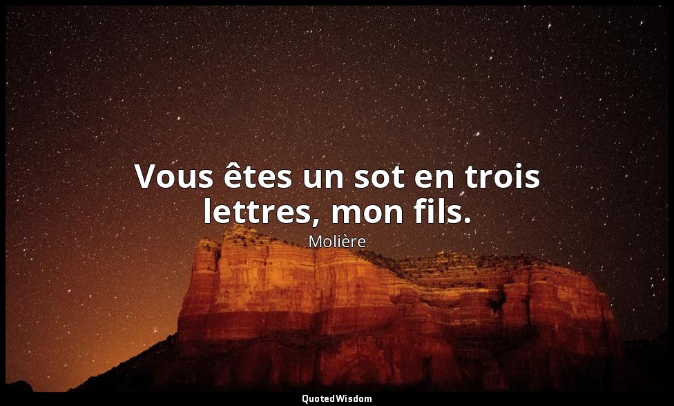 Vous êtes un sot en trois lettres, mon fils. — Molière