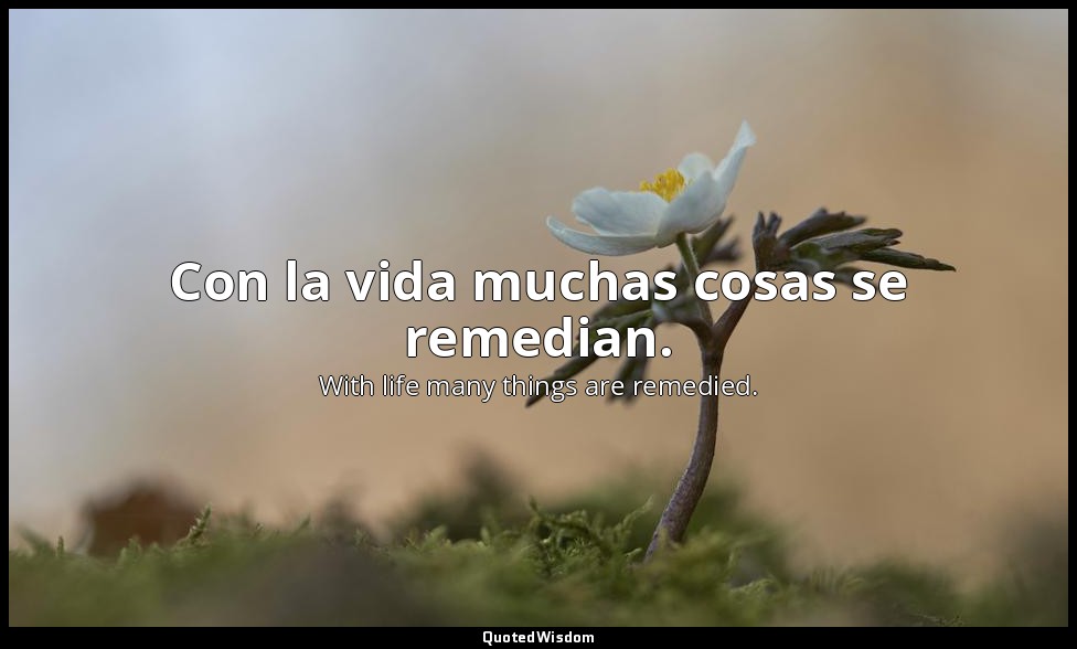 Con la vida muchas cosas se remedian. — With life many things are remedied.