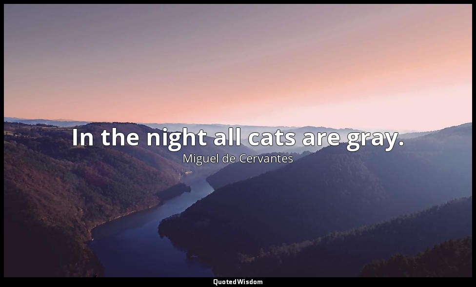 In the night all cats are gray. — Miguel de Cervantes