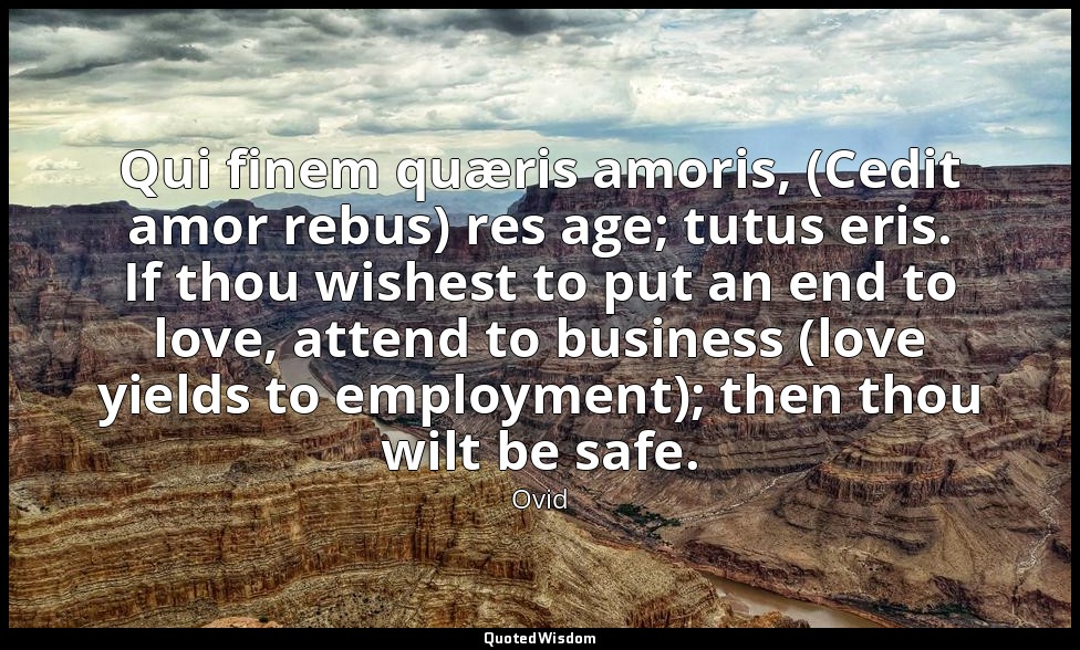 Qui finem quæris amoris, (Cedit amor rebus) res age; tutus eris. If thou wishest — Ovid