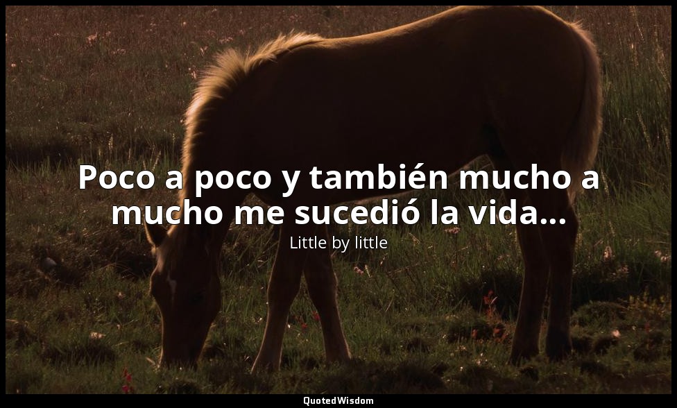 Poco a poco y también mucho a mucho me sucedió la vida... — Little by little