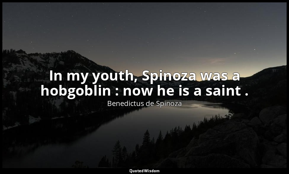 In my youth, Spinoza was a hobgoblin : now he is a saint . — Benedictus de Spinoza