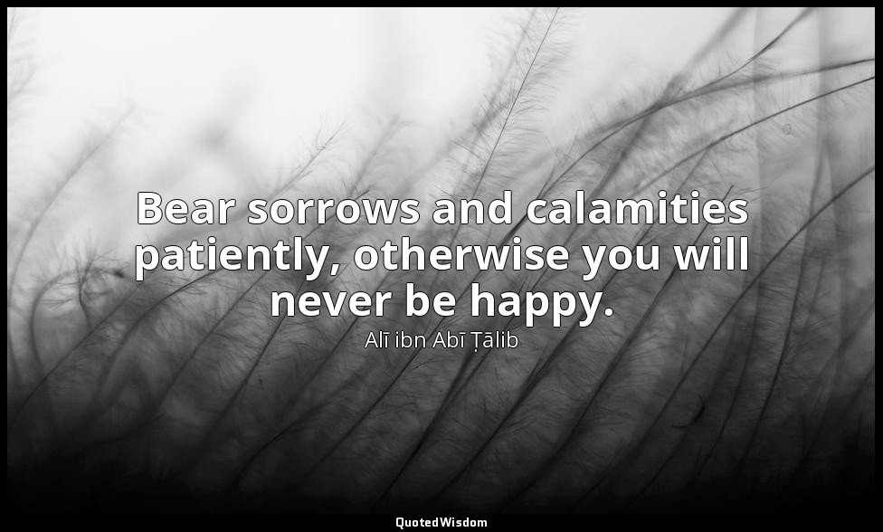 Bear sorrows and calamities patiently, otherwise you will never be happy. — Alī ibn Abī Ṭālib