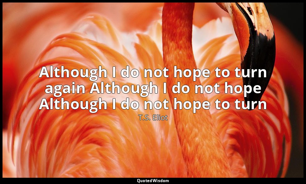 Although I do not hope to turn again Although I do not hope Although I do not ho — T.S. Eliot