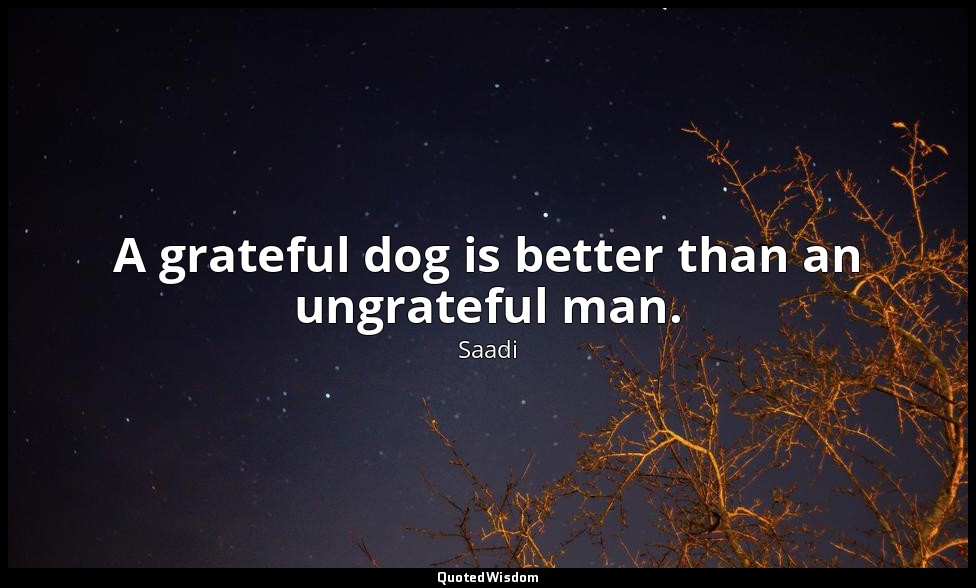 A grateful dog is better than an ungrateful man. — Saadi