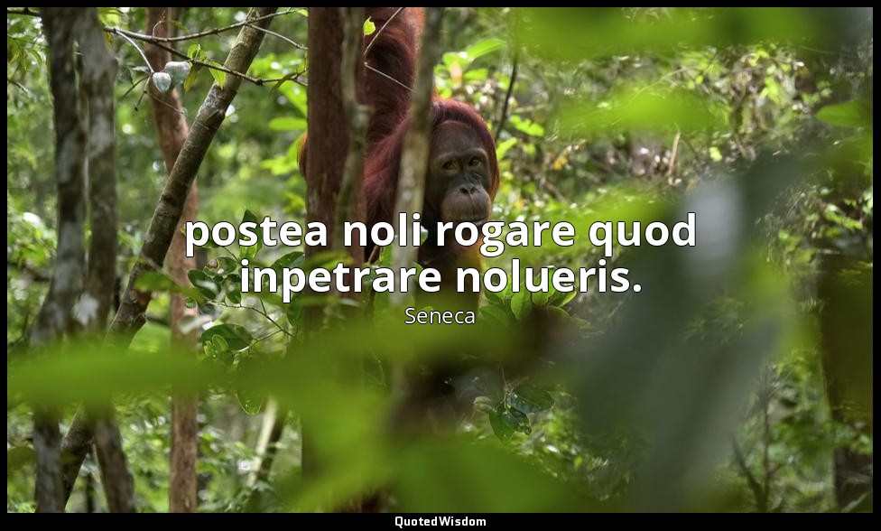 postea noli rogare quod inpetrare nolueris. — Seneca