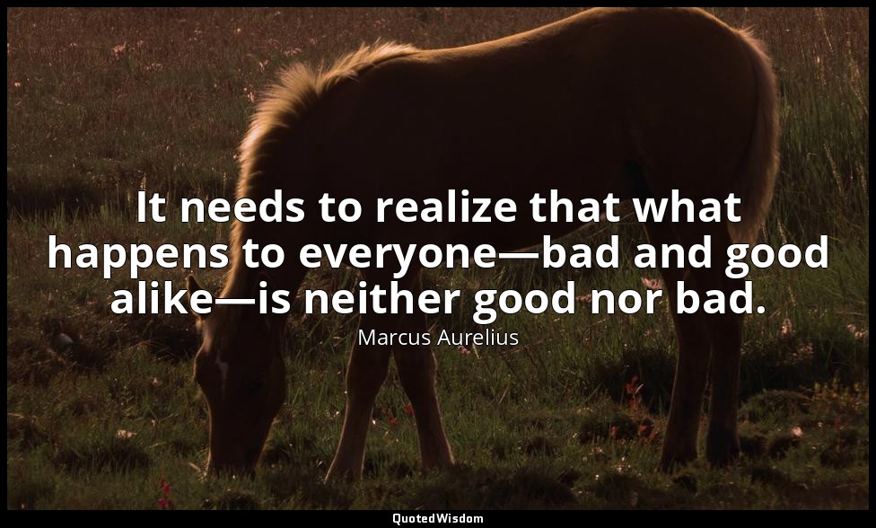 It needs to realize that what happens to everyone—bad and good alike—is neither  — Marcus Aurelius