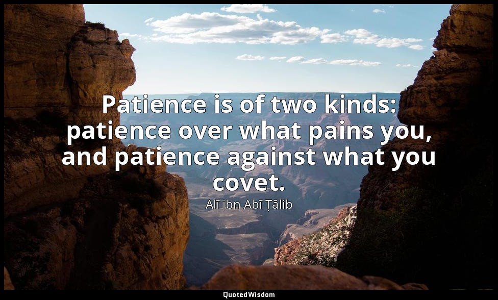 Patience is of two kinds: patience over what pains you, and patience against wha — Alī ibn Abī Ṭālib