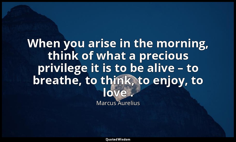 When you arise in the morning, think of what a precious privilege it is to be al — Marcus Aurelius