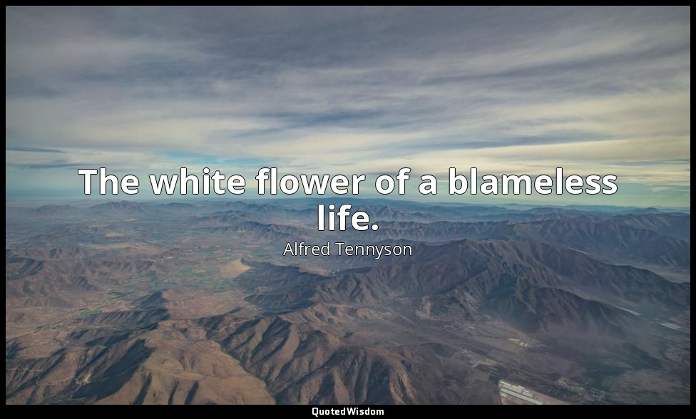 The white flower of a blameless life. — Alfred Tennyson