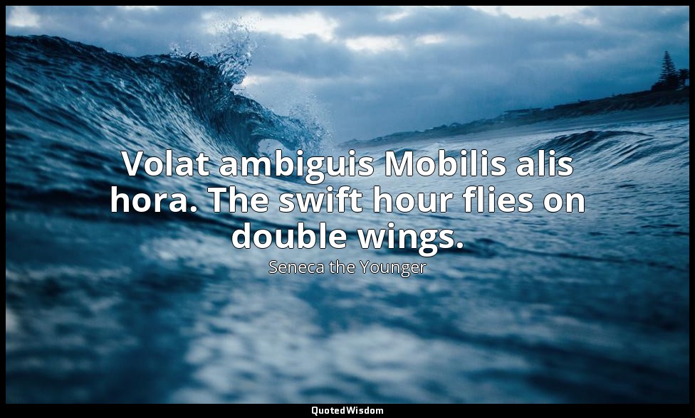 Volat ambiguis Mobilis alis hora. The swift hour flies on double wings. — Seneca the Younger