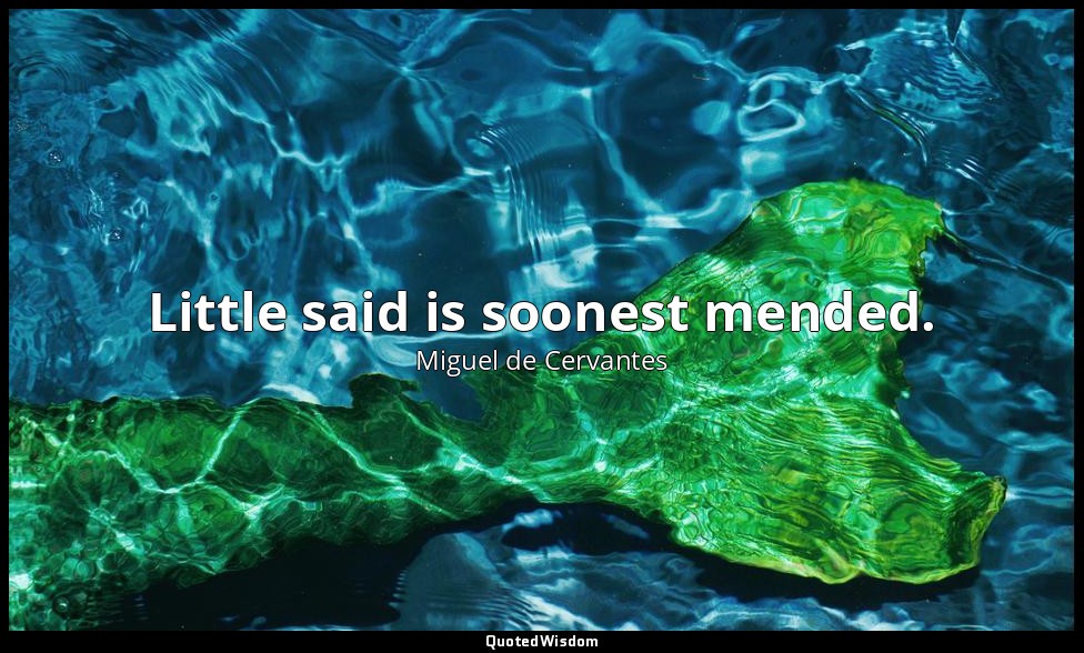 Little said is soonest mended. — Miguel de Cervantes