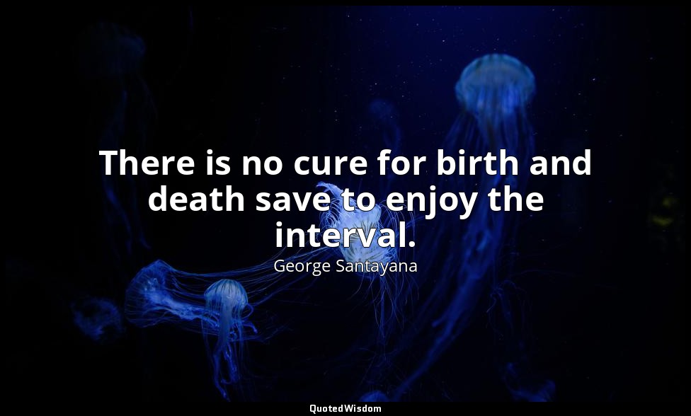 There is no cure for birth and death save to enjoy the interval. — George Santayana
