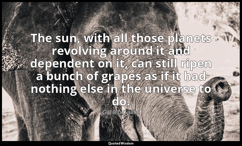 The sun, with all those planets revolving around it and dependent on it, can sti — Galileo Galilei