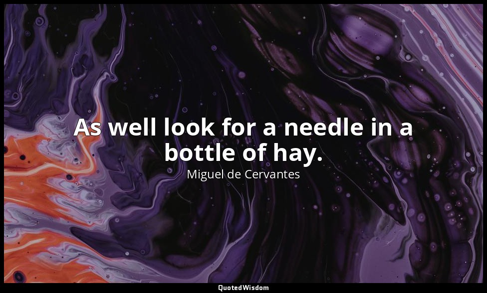 As well look for a needle in a bottle of hay. — Miguel de Cervantes