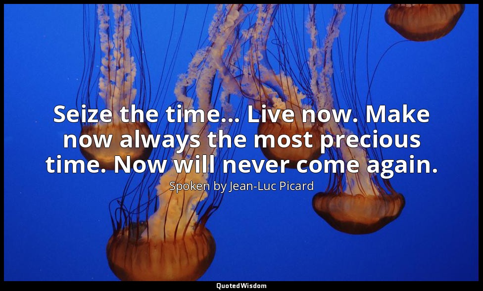 Seize the time... Live now. Make now always the most precious time. Now will nev — Spoken by Jean-Luc Picard