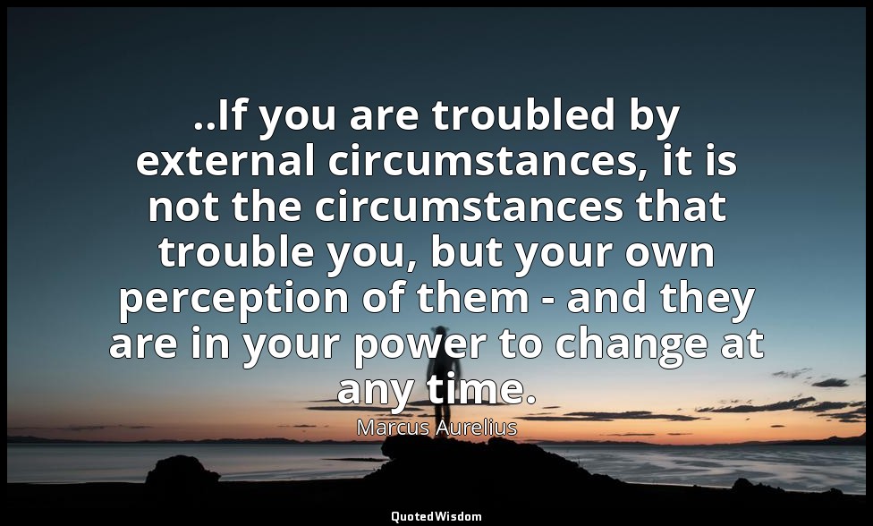 ..If you are troubled by external circumstances, it is not the circumstances tha — Marcus Aurelius