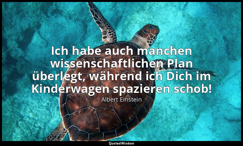 Ich habe auch manchen wissenschaftlichen Plan überlegt, während ich Dich im Kind — Albert Einstein