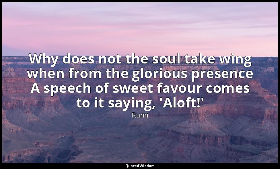 Why does not the soul take wing when from the glorious presence A speech of swee — Rumi