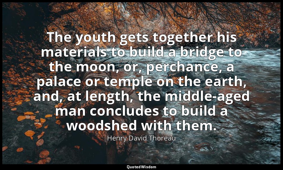 The youth gets together his materials to build a bridge to the moon, or, perchan — Henry David Thoreau