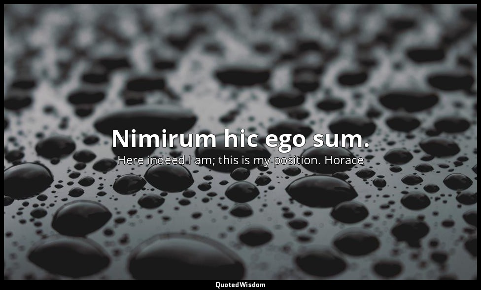 Nimirum hic ego sum. — Here indeed I am; this is my position. Horace