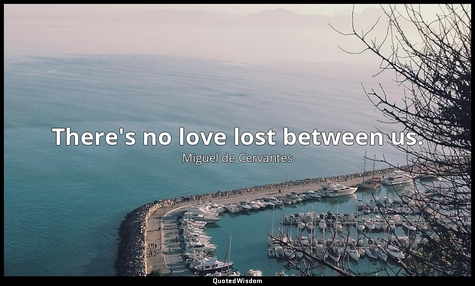 There's no love lost between us. — Miguel de Cervantes
