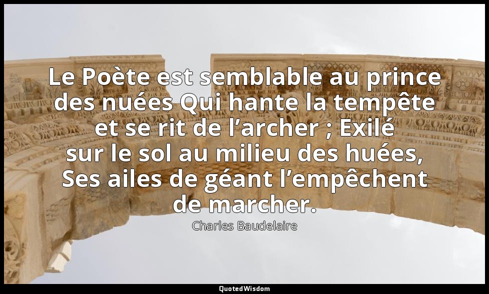 Le Poète est semblable au prince des nuées Qui hante la tempête et se rit de l’a — Charles Baudelaire