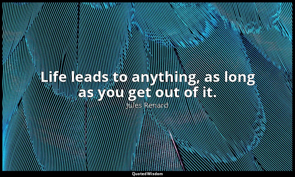Life leads to anything, as long as you get out of it. — Jules Renard