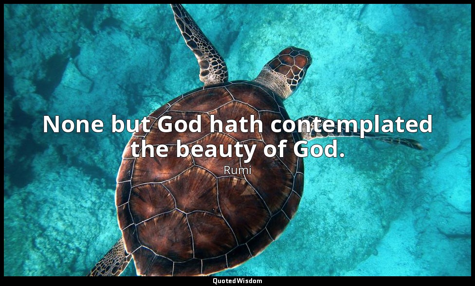 None but God hath contemplated the beauty of God. — Rumi