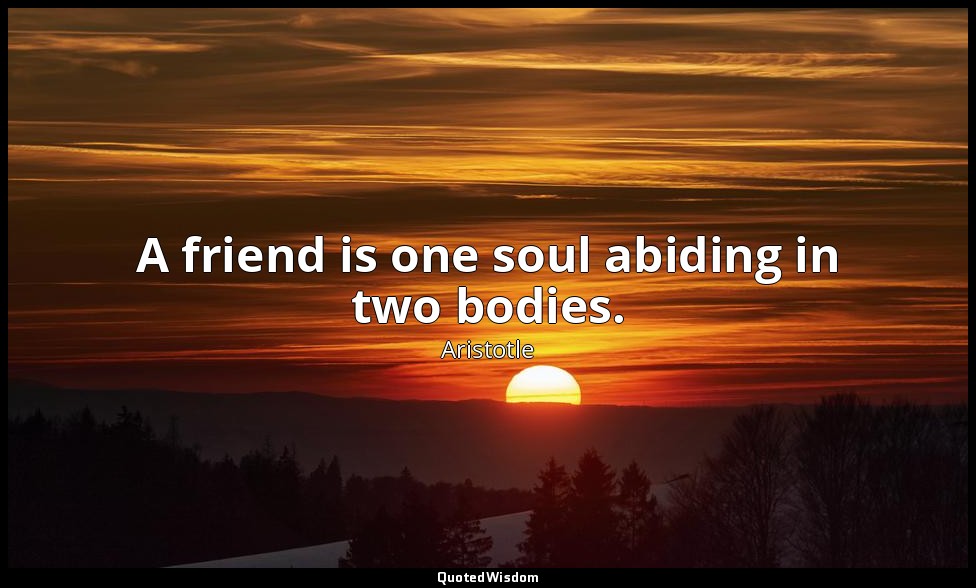 A friend is one soul abiding in two bodies. — Aristotle