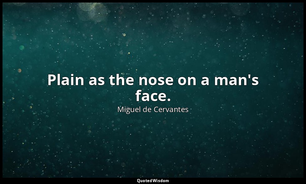 Plain as the nose on a man's face. — Miguel de Cervantes