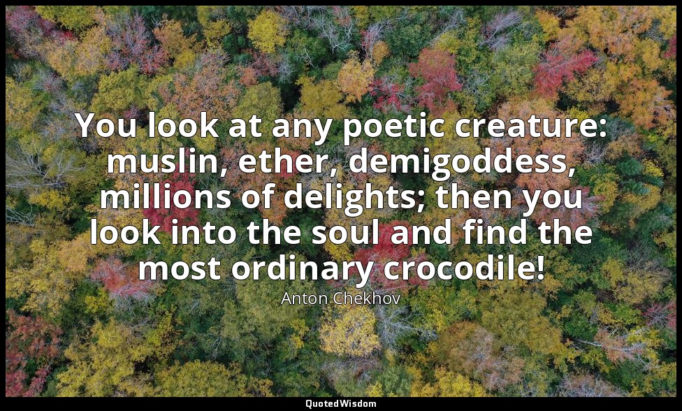 You look at any poetic creature: muslin, ether, demigoddess, millions of delight — Anton Chekhov