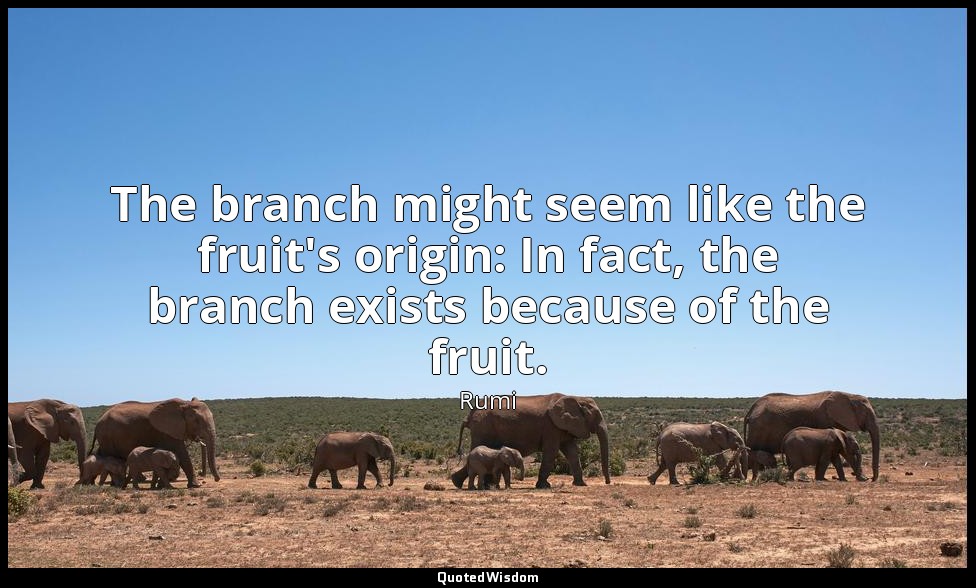 The branch might seem like the fruit's origin: In fact, the branch exists becaus — Rumi