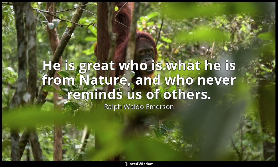He is great who is what he is from Nature, and who never reminds us of others. — Ralph Waldo Emerson