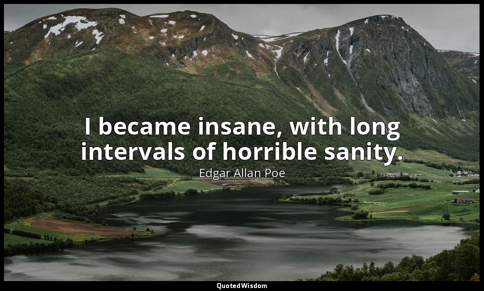 I became insane, with long intervals of horrible sanity. — Edgar Allan Poe