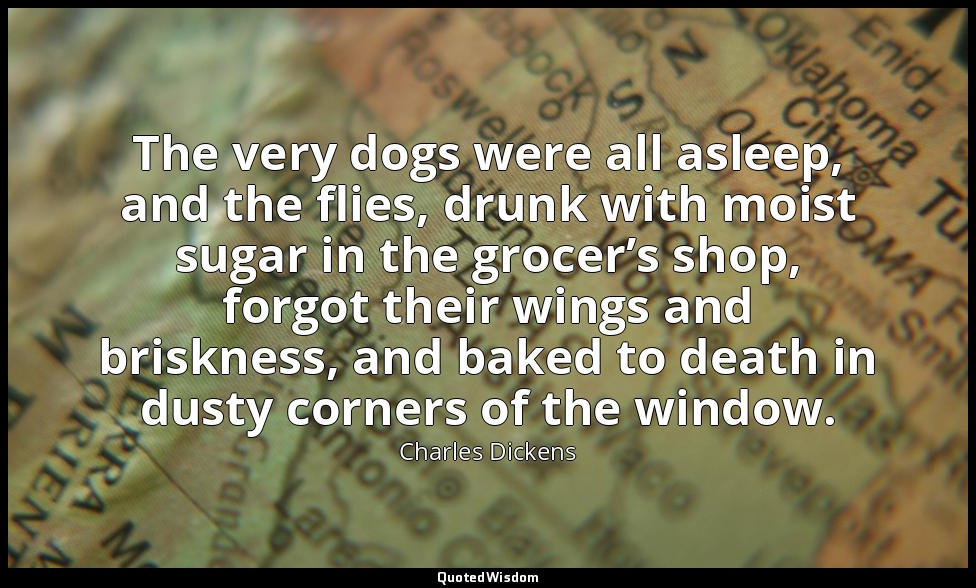 The very dogs were all asleep, and the flies, drunk with moist sugar in the groc — Charles Dickens