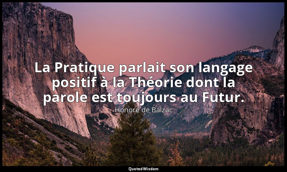 La Pratique parlait son langage positif à la Théorie dont la parole est toujours — Honoré de Balzac