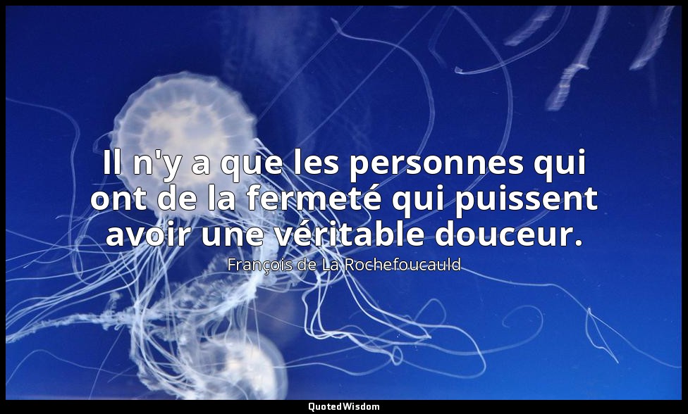 Il n'y a que les personnes qui ont de la fermeté qui puissent avoir une véritabl — François de La Rochefoucauld
