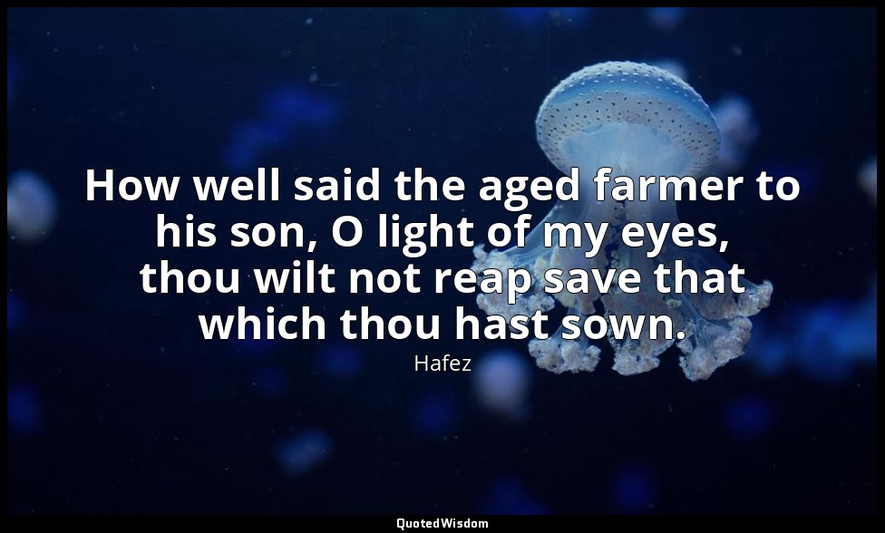 How well said the aged farmer to his son, O light of my eyes, thou wilt not reap — Hafez