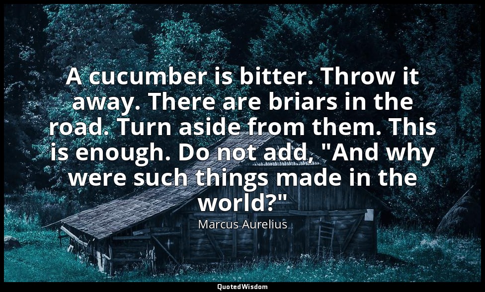 A cucumber is bitter. Throw it away. There are briars in the road. Turn aside fr — Marcus Aurelius