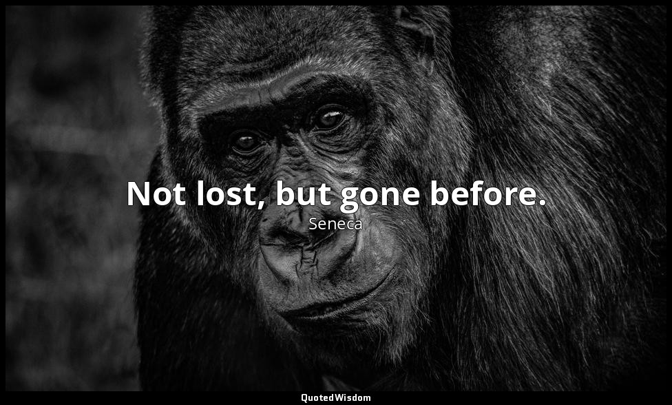 Not lost, but gone before. — Seneca