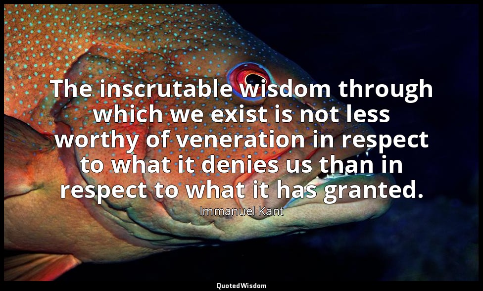 The inscrutable wisdom through which we exist is not less worthy of veneration i — Immanuel Kant
