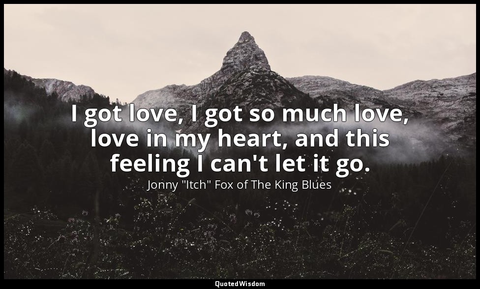 I got love, I got so much love, love in my heart, and this feeling I can't let i — Jonny "Itch" Fox of The King Blues