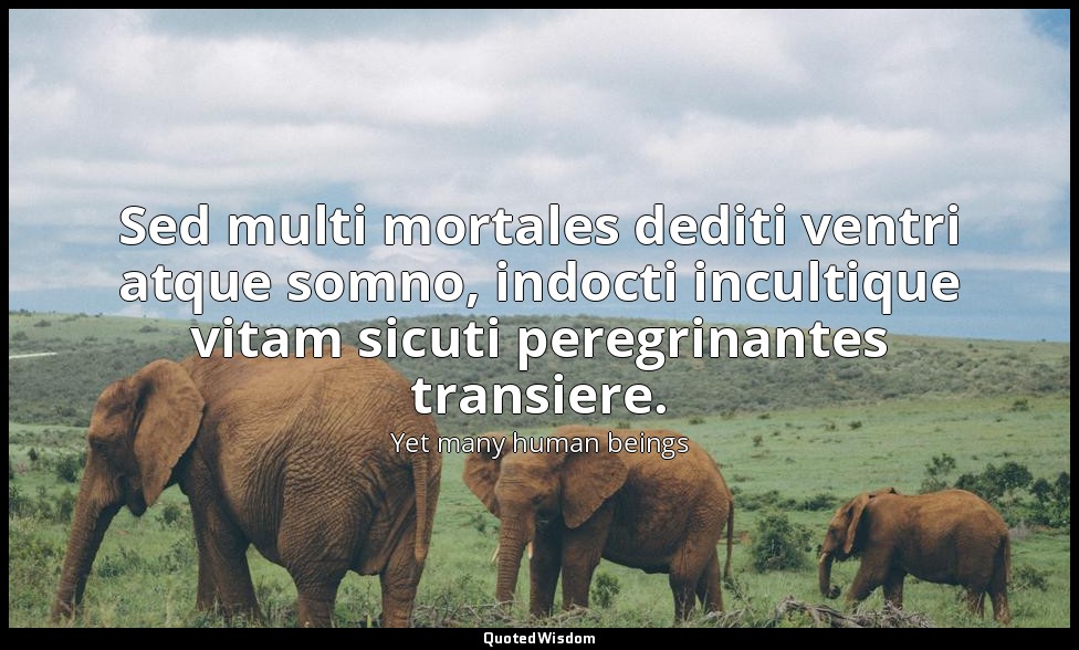 Sed multi mortales dediti ventri atque somno, indocti incultique vitam sicuti pe — Yet many human beings