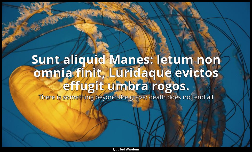 Sunt aliquid Manes: letum non omnia finit, Luridaque evictos effugit umbra rogos — There is something beyond the grave; death does not end all