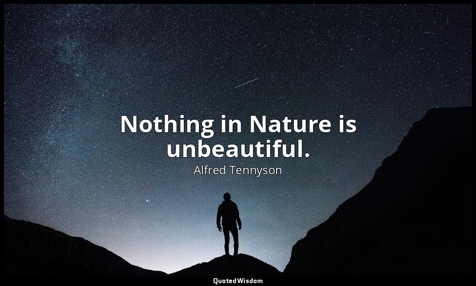 Nothing in Nature is unbeautiful. — Alfred Tennyson