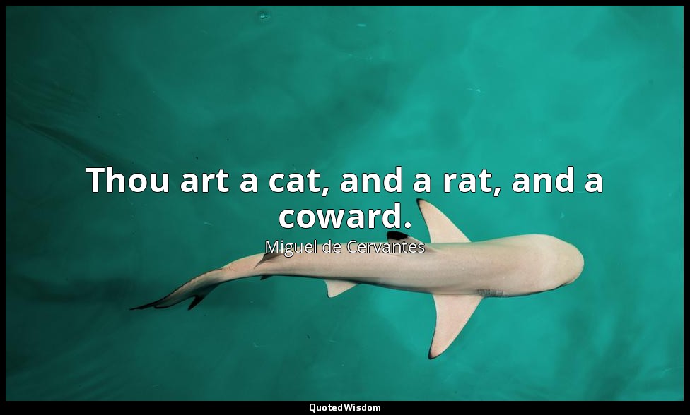 Thou art a cat, and a rat, and a coward. — Miguel de Cervantes