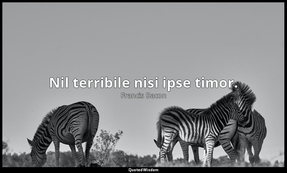 Nil terribile nisi ipse timor. — Francis Bacon