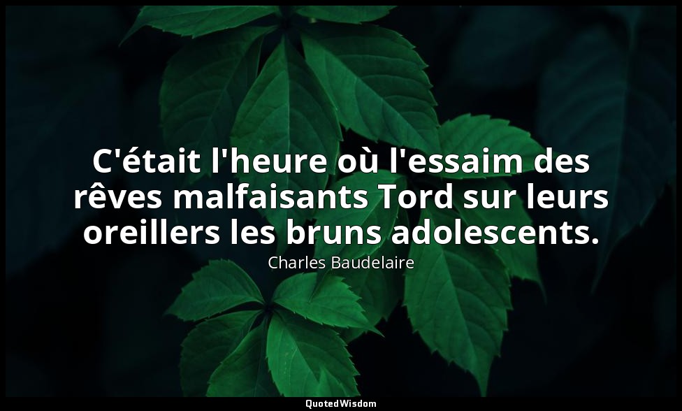 C'était l'heure où l'essaim des rêves malfaisants Tord sur leurs oreillers les b — Charles Baudelaire