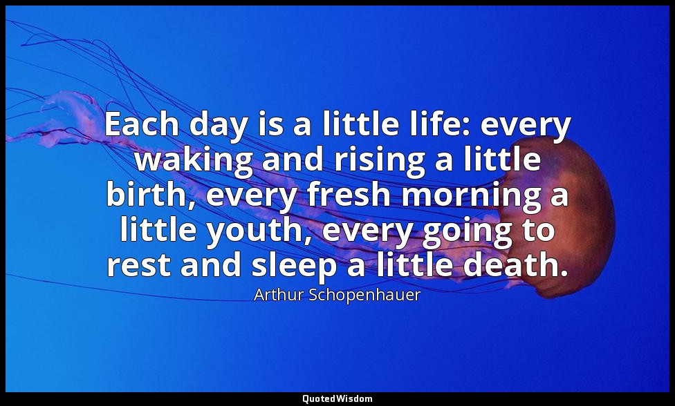 Each day is a little life: every waking and rising a little birth, every fresh m — Arthur Schopenhauer